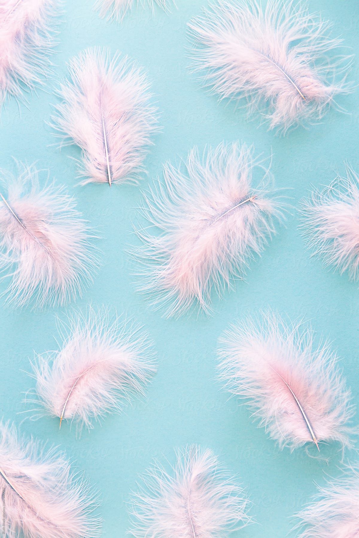 Pink Feather Background This High Resolution Stock Photo
