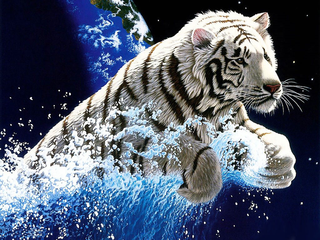 Tiger Wonderful White Wallpaper Hd