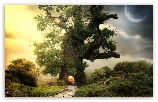 Tree House HD Desktop Wallpaper Fullscreen