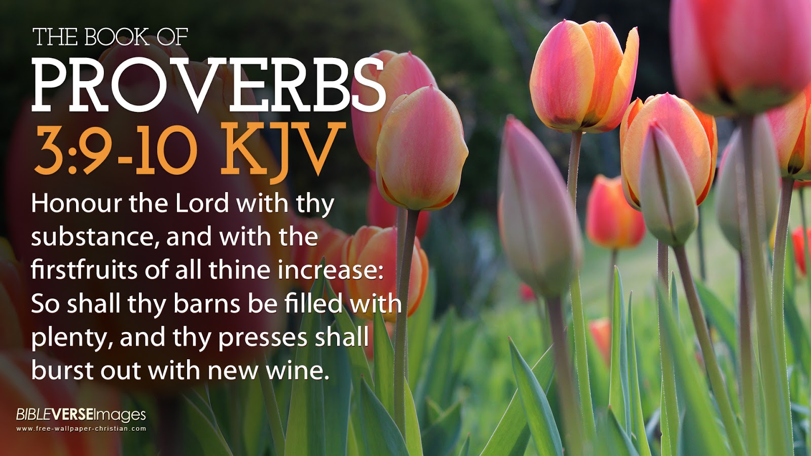 Bible Verse Wallpaper proverbs 3 9 10 King James Versionjpg