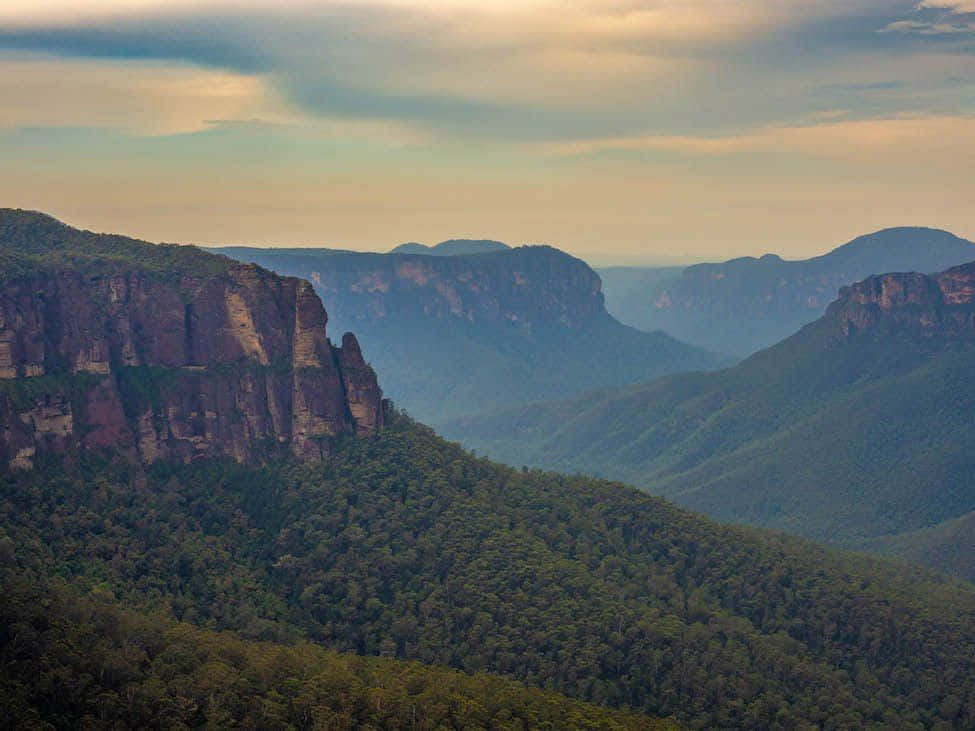 Blue Mountains National Park Wallpaper