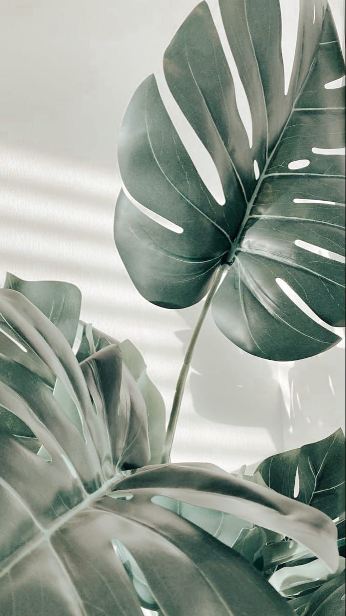 Edited In Wallpaper