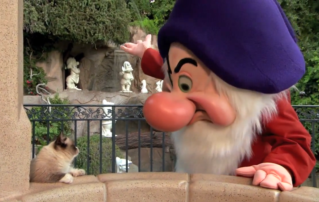 Grumpy Cat Meets Grumpy The Dwarf At Disneylandpng