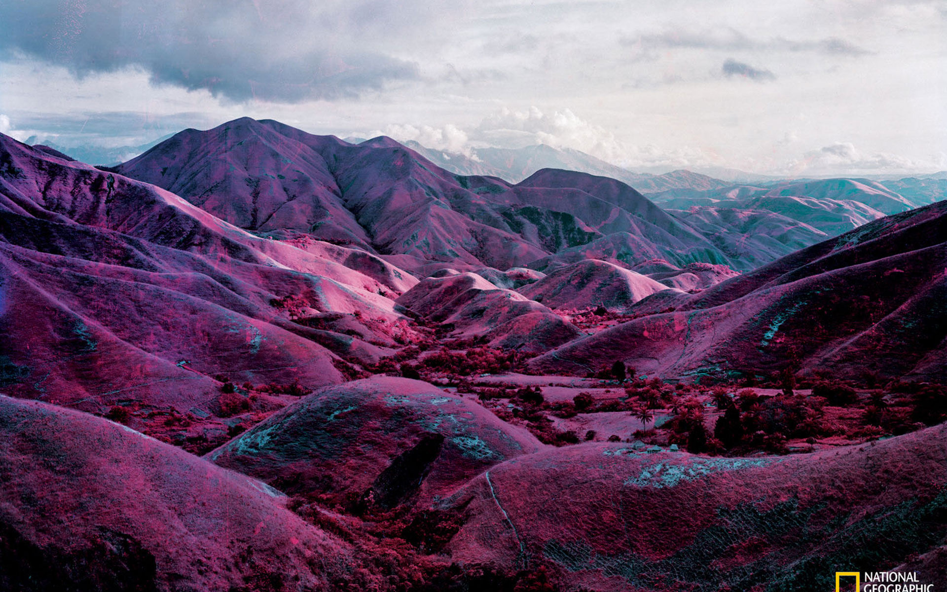 Hãy tải miễn phí bộ sưu tập ảnh National Geographic dành cho máy tính để tận hưởng không gian làm việc mới mẻ và độc đáo. Những hình ảnh chụp bởi các nhiếp ảnh gia tài ba sẽ là nguồn cảm hứng và khơi gợi sự sáng tạo cho bạn.