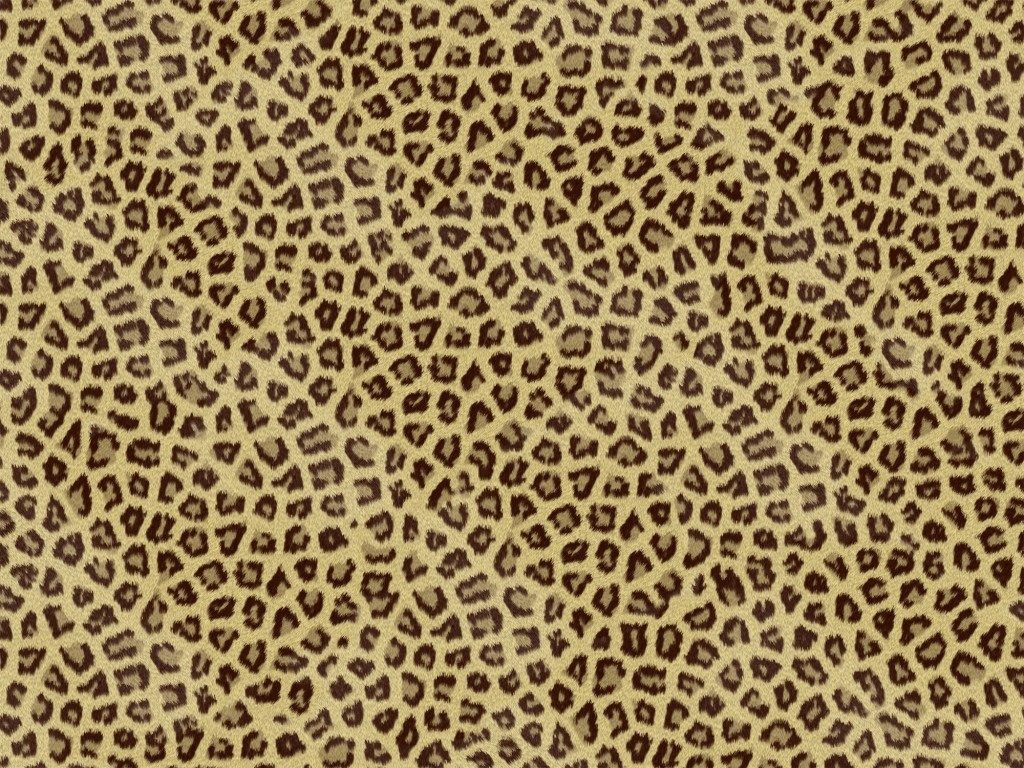 Cheetah Print Urlocker Locker Accessories Laptop iPad Skins