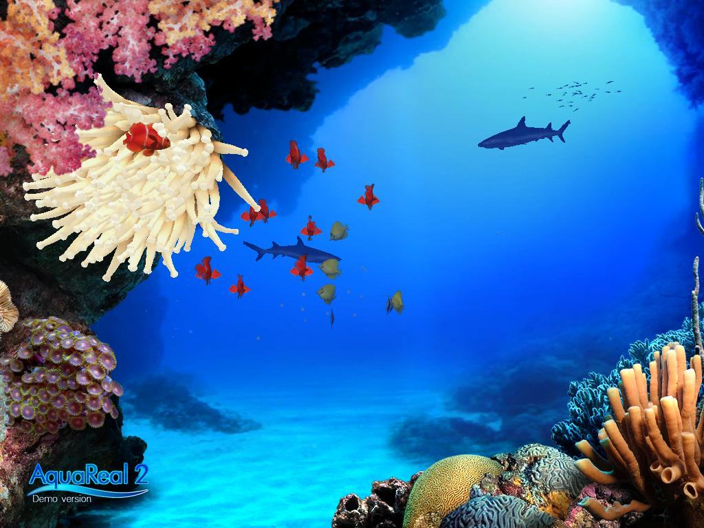 Wallpaper Background Aquarium Screensavers Real