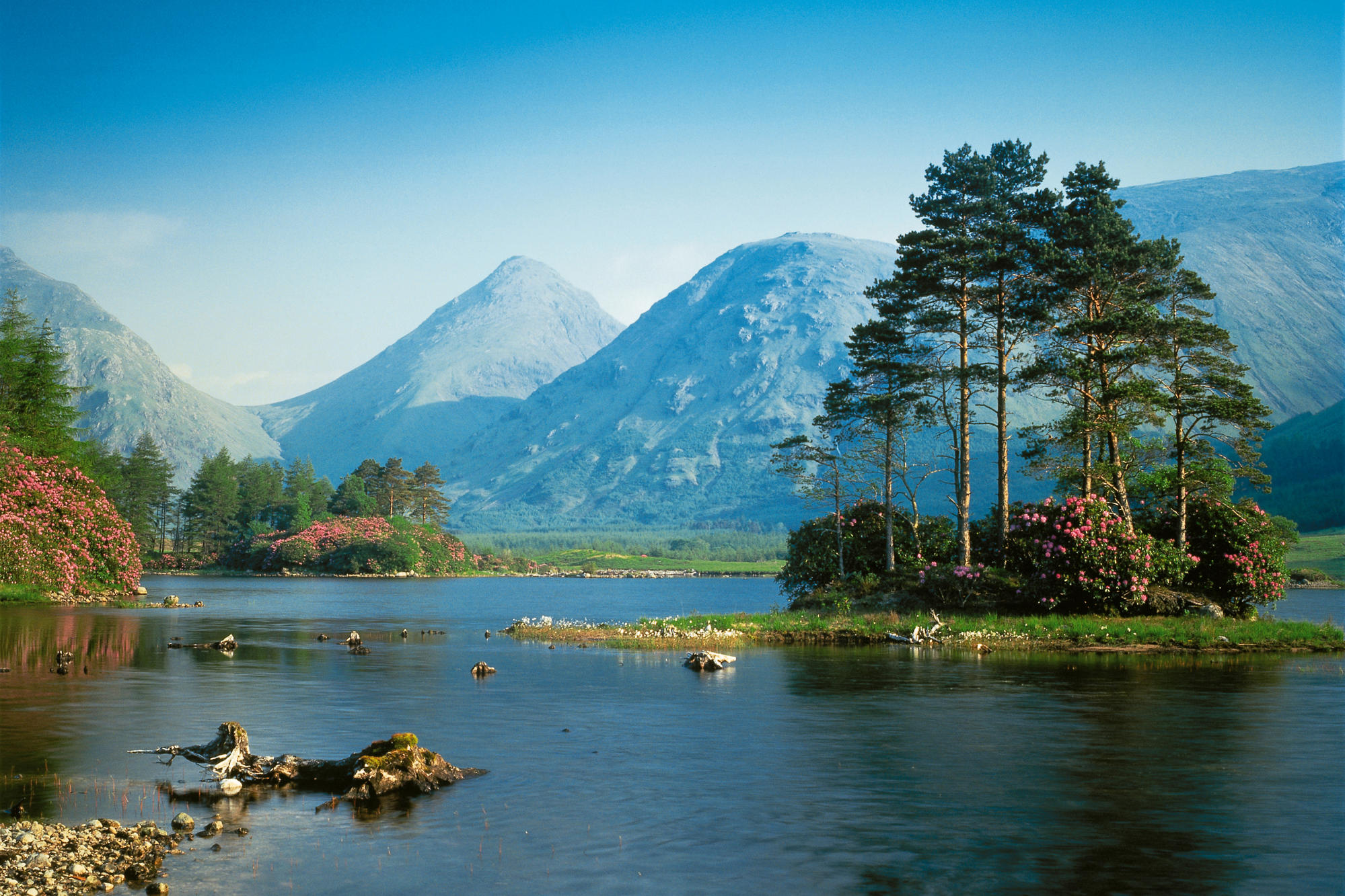 Serene landscape of a lake nestled amidst majestic mountains, with lush greenery and vibrant flowers