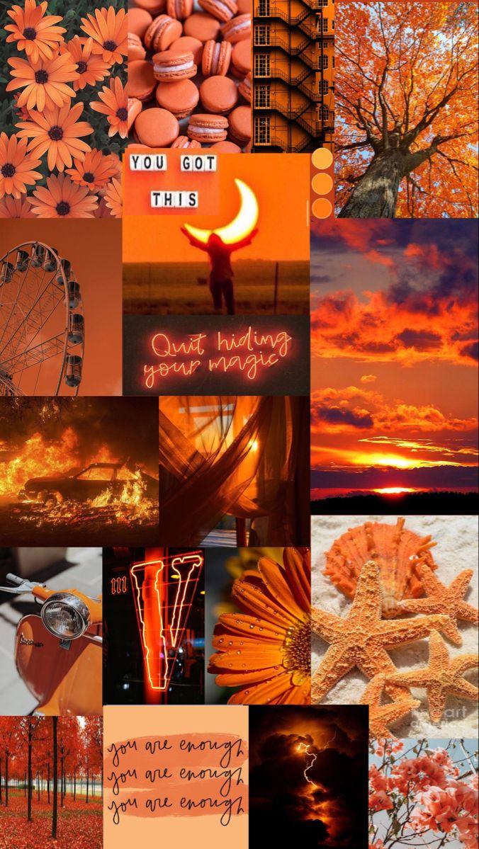 Free download Aesthetic orange mood board Orange wallpaper Summer ...