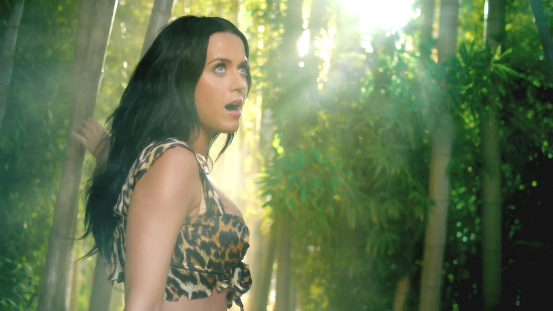 Back To Post Katy Perry Roar Music Video Hd