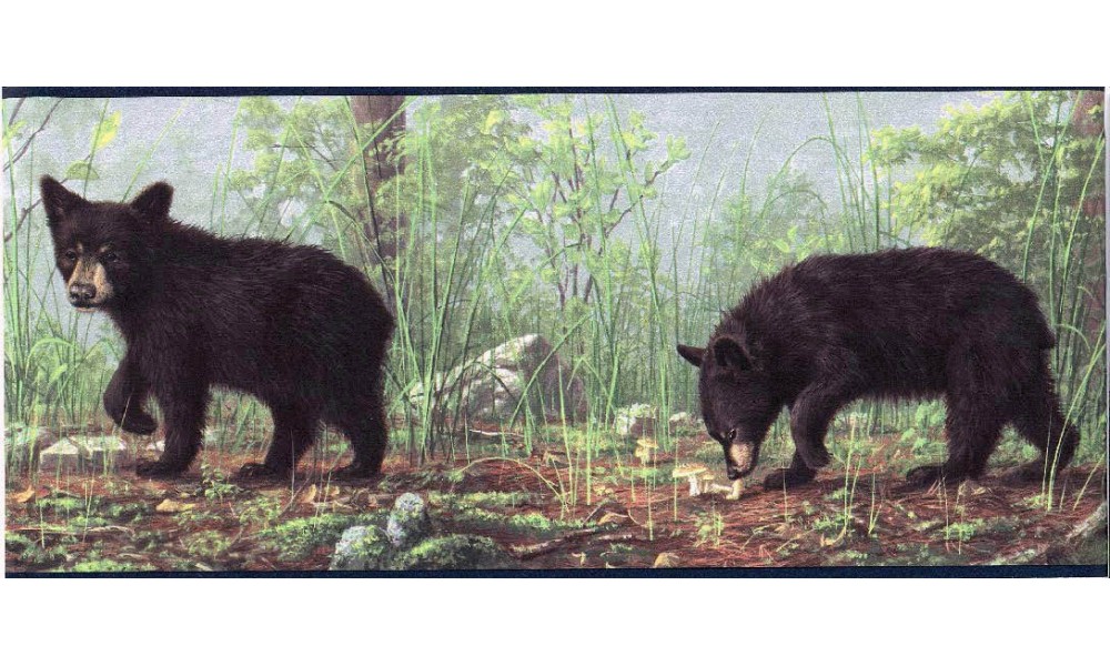 🔥 Free download Black Bear with Cubs Bear Country Wallpaper Border eBay