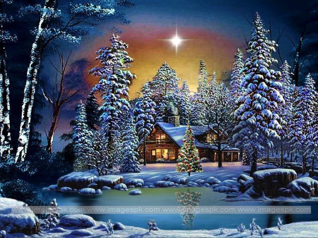 Beautiful Winter Night Wallpaper