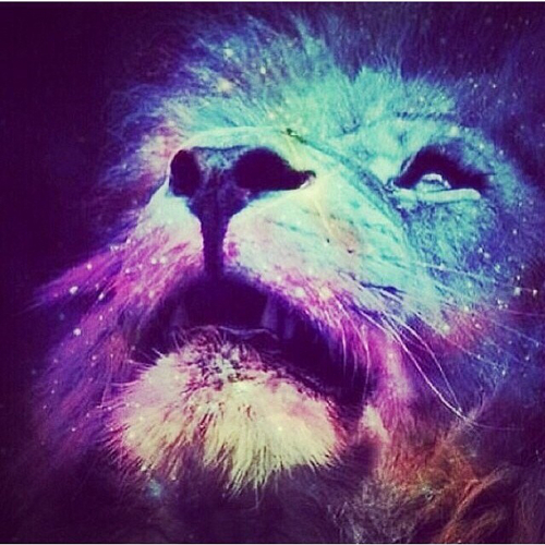 Galaxy Lion Colorful And