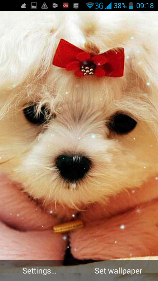 Cute Dogs Live Wallpaper Android Apps On Google Play