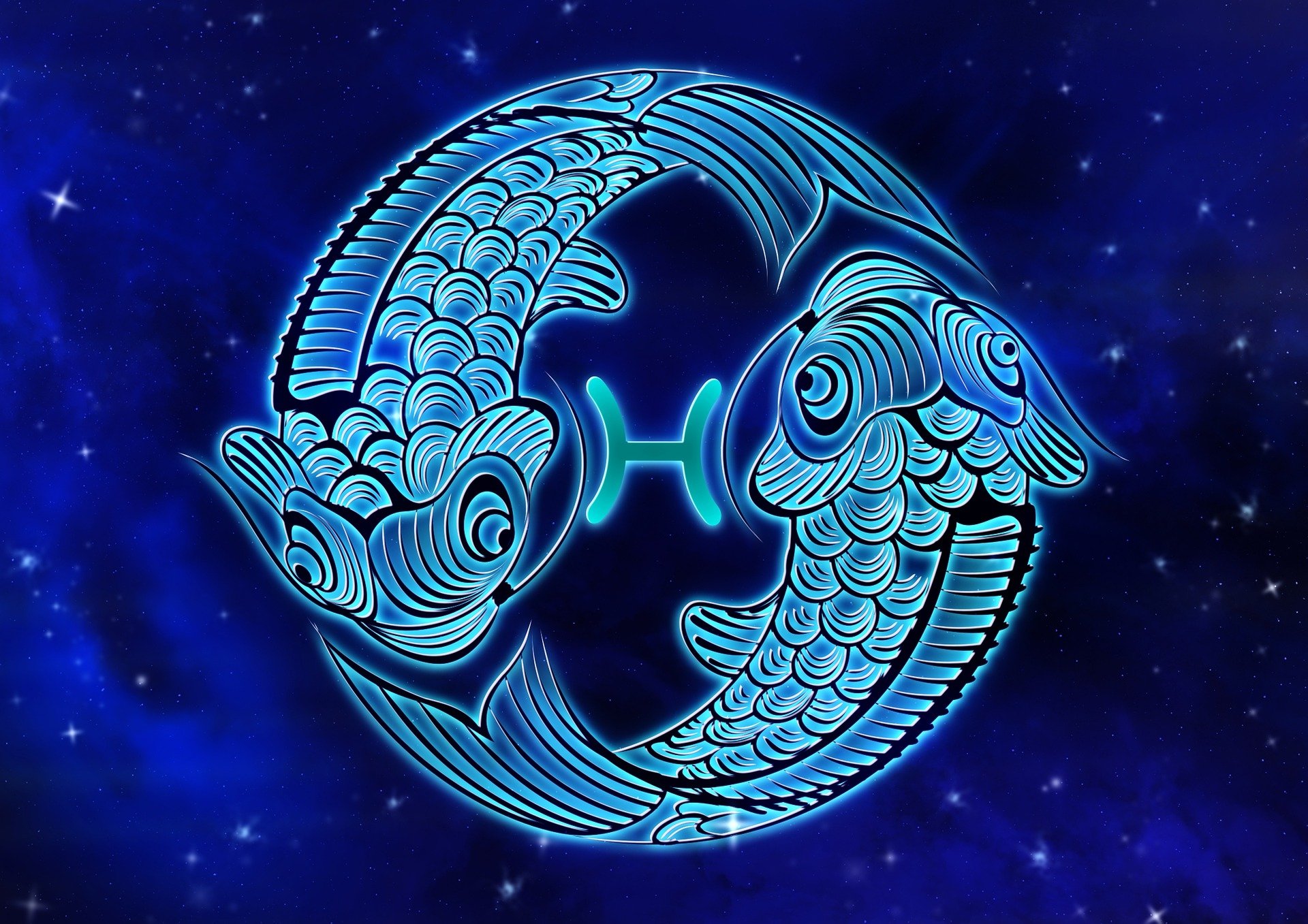Blue Pisces The Fish HD Wallpaper Background Image