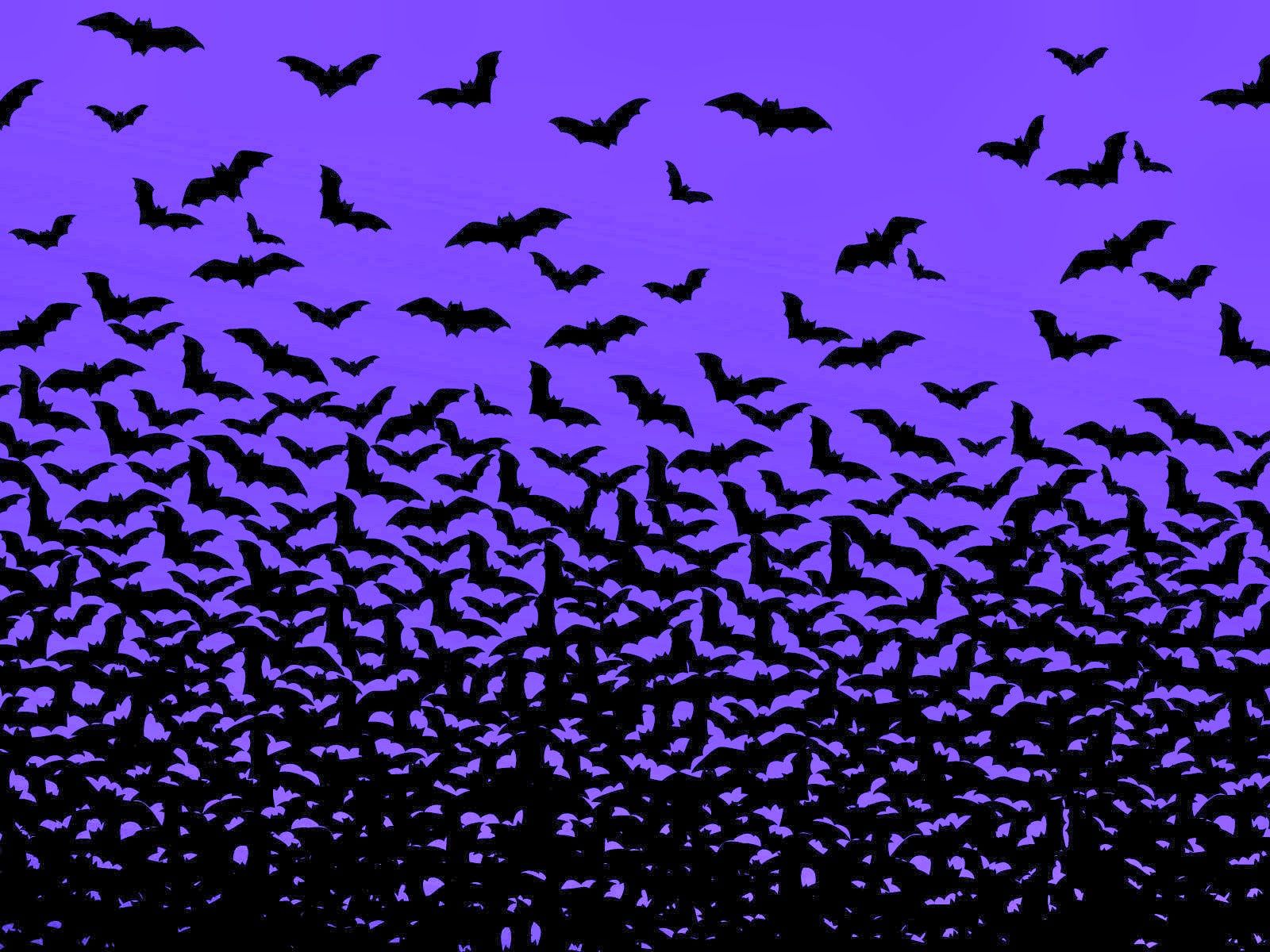 Bats Wallpaper Group