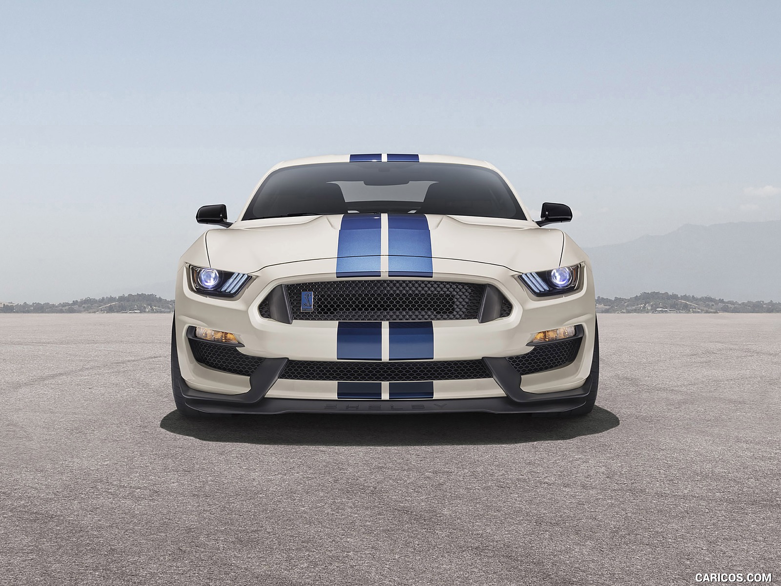 Ford Mustang Shelby Gt350 Heritage Edition Package Front