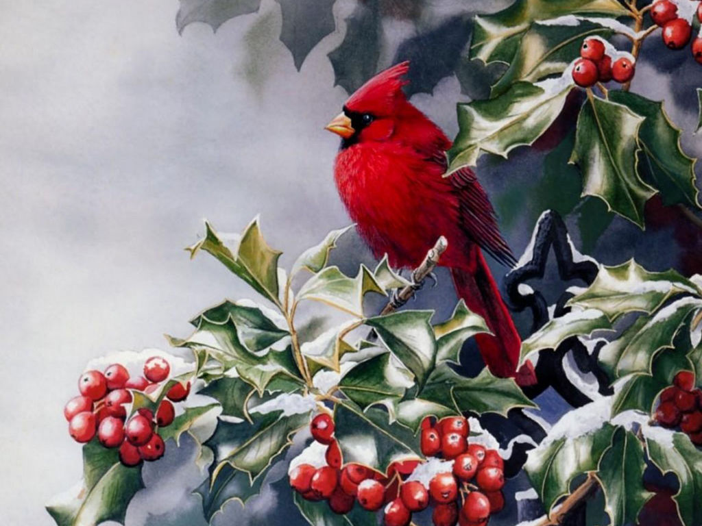 Red Bird On A Mountain Ash Desktop Wallpaper Pictures