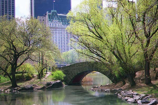 New York Ny Central Park In The Spring Photo Picture Image