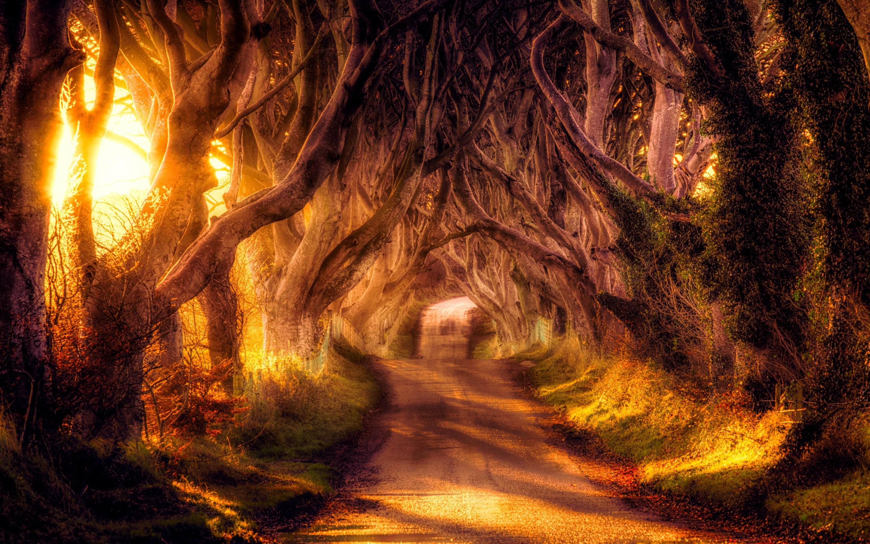 Road Northern Ireland Wallpaper By Marijane Revelwallpaper