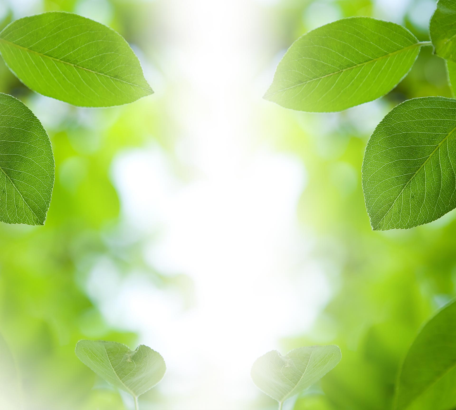 Flourish And Thrive Generating Foundations That Support Human
