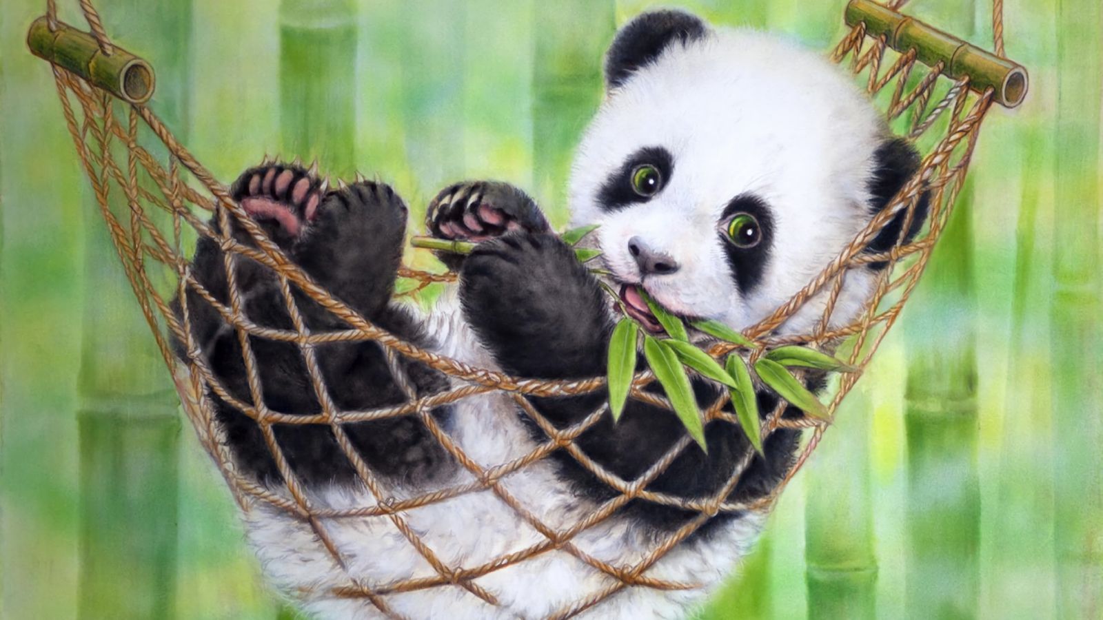 Cute Panda Wallpaper Image Stream