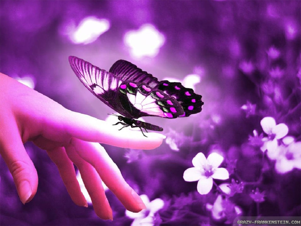 Beautiful Flowers And Butterflies Desktop Wallpaper