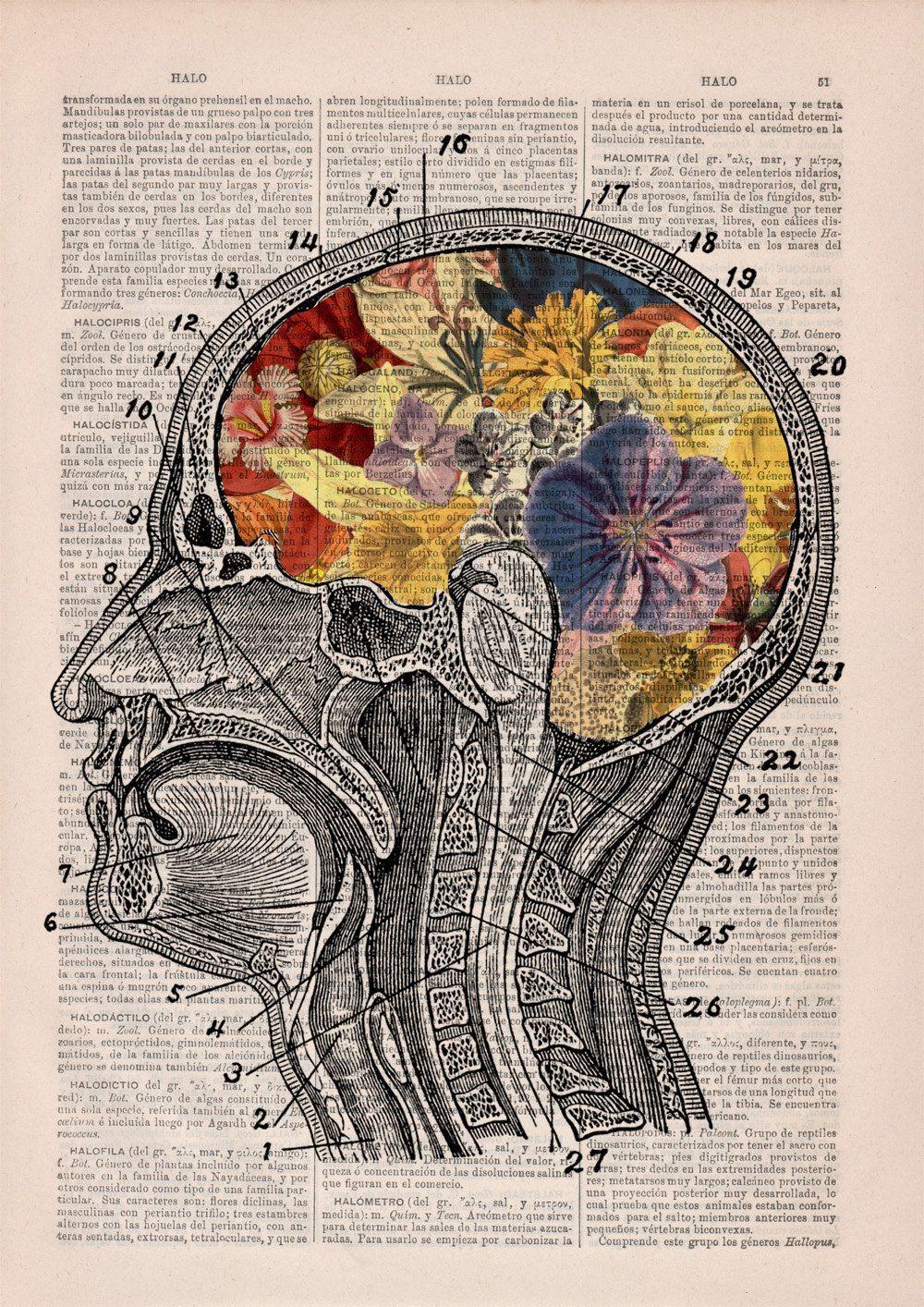 100 Psychology Background s  Wallpaperscom