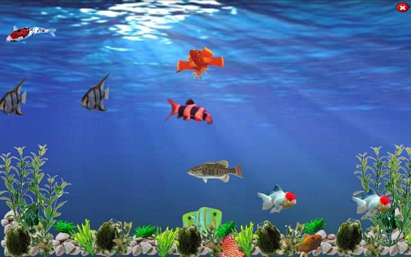 Underwater Animated Wallpaper High Definition