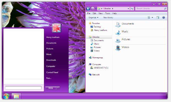 Windows Basic Themes Purple
