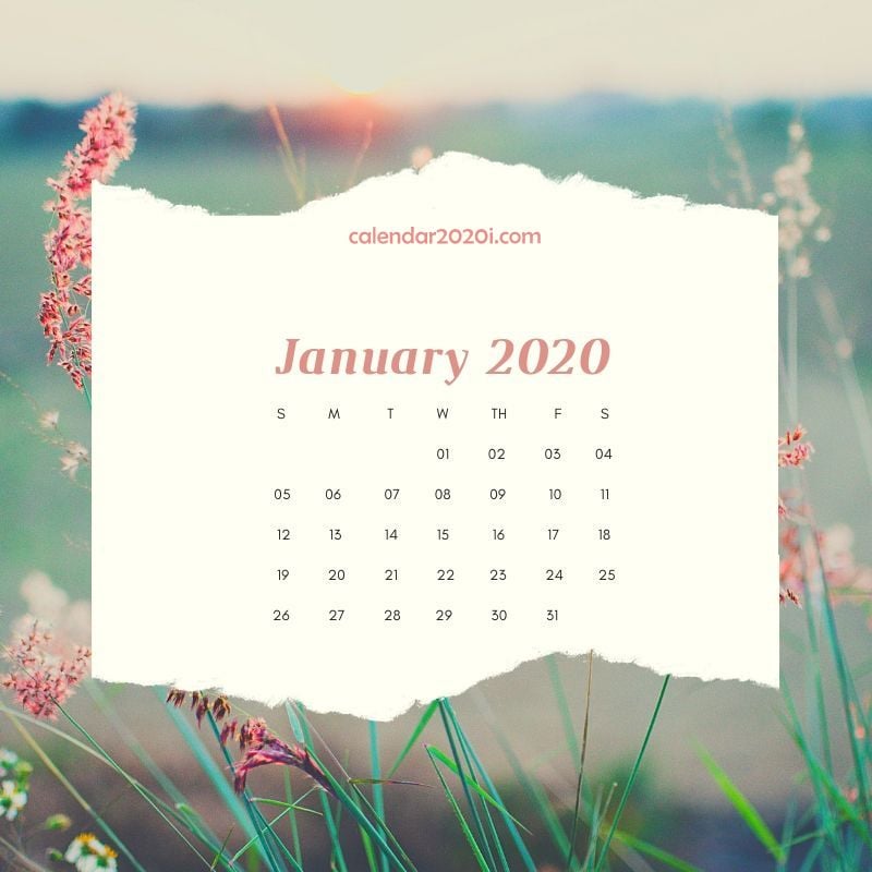 2020 Floral Printable Calendar Calendar 2020