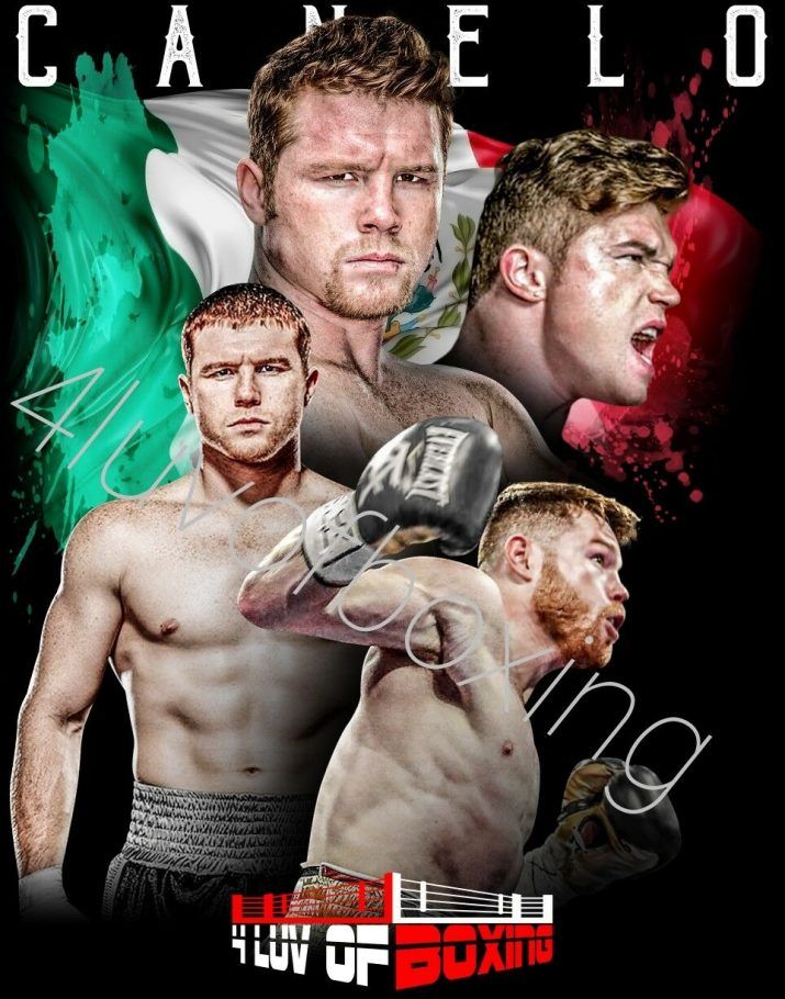 Canelo Alvarez Wallpaper Saul Mma Michael Jordan Art
