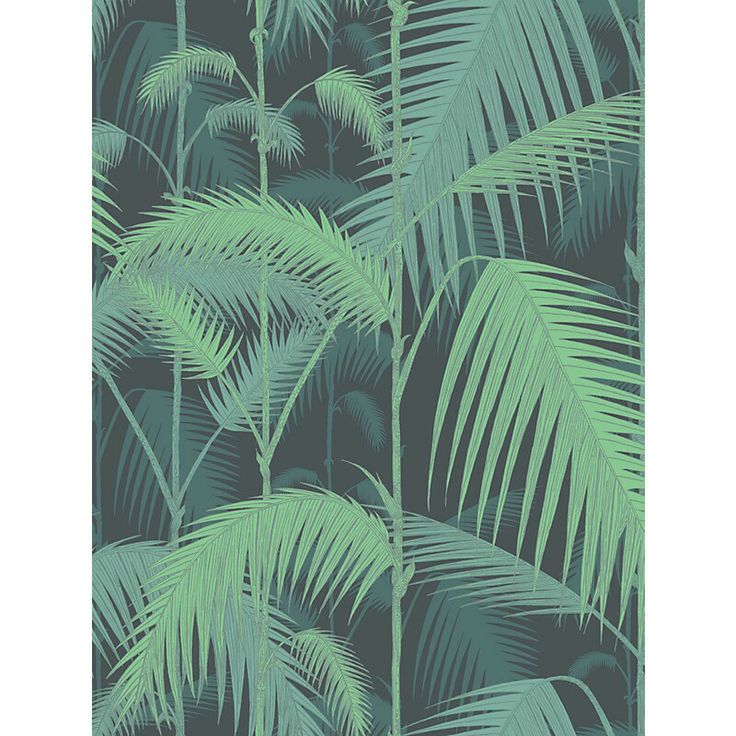 Jl Cole And Son Palm Jungle Wallpaper Paint Ideas Soft Furnishin