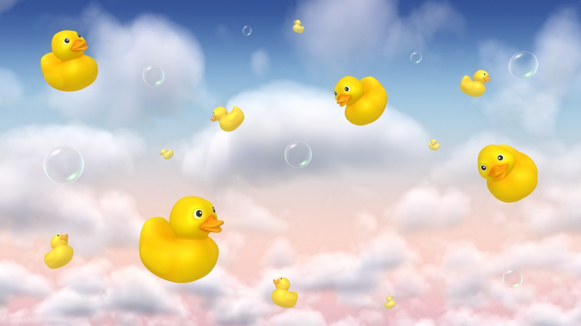 320 Duck HD Wallpapers and Backgrounds