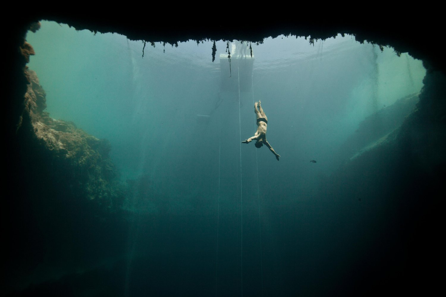 Diving Photos Incredible Image To Inspire