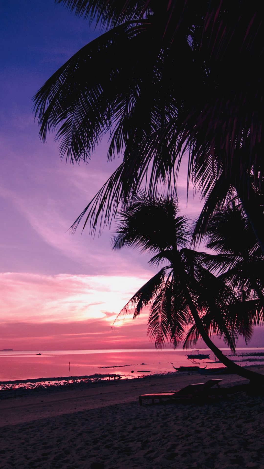 Palm Trees Beach Nature Sunset Wallpaper