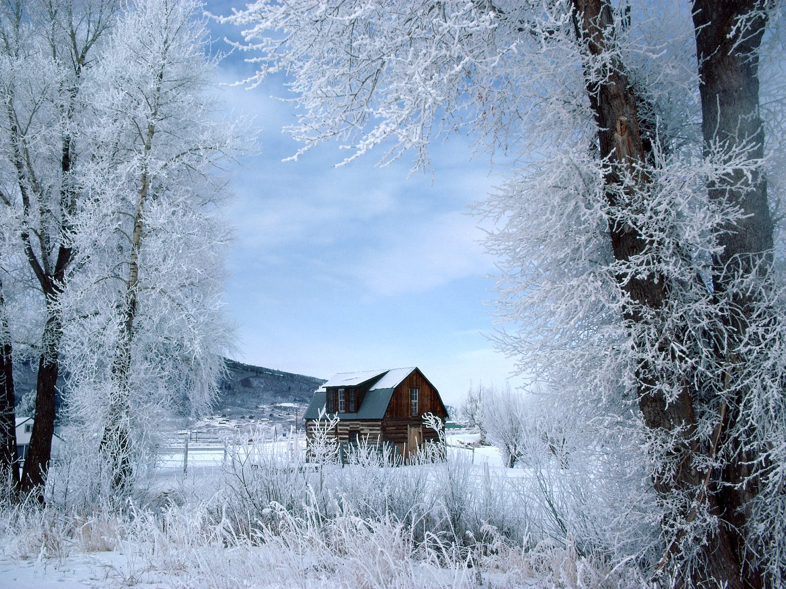 16001200 Winter wonderland Dreamy Snow Scene wallpaper 1600x1200