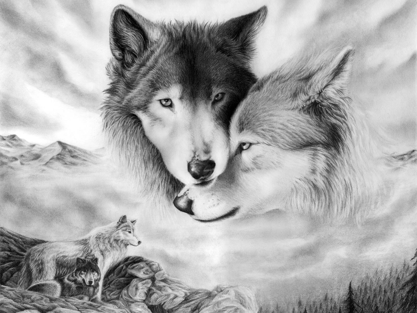 Wolf Wallpaper Liebe 3d F R Desktop Bilder