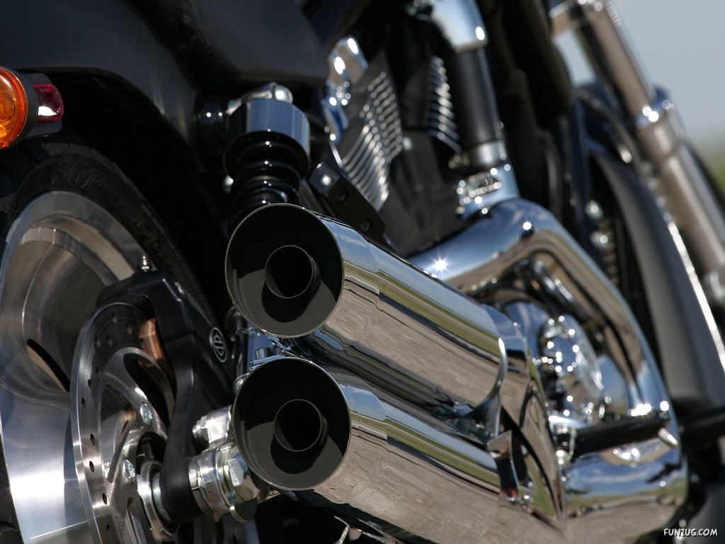 Click To Enlarge Harley Davidson Exclusive Wallpaper