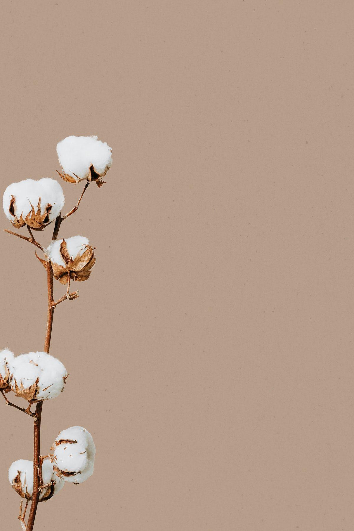 Illustration Of Beige Minimal Flower Background