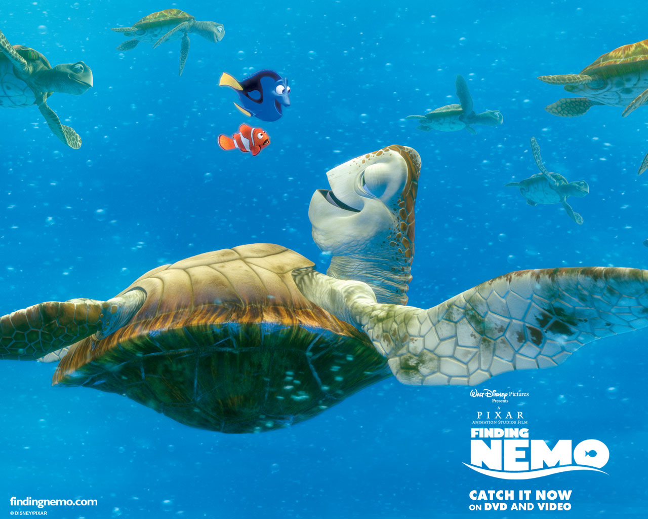 Finding Nemo Disney Pixar All Rights Reserved