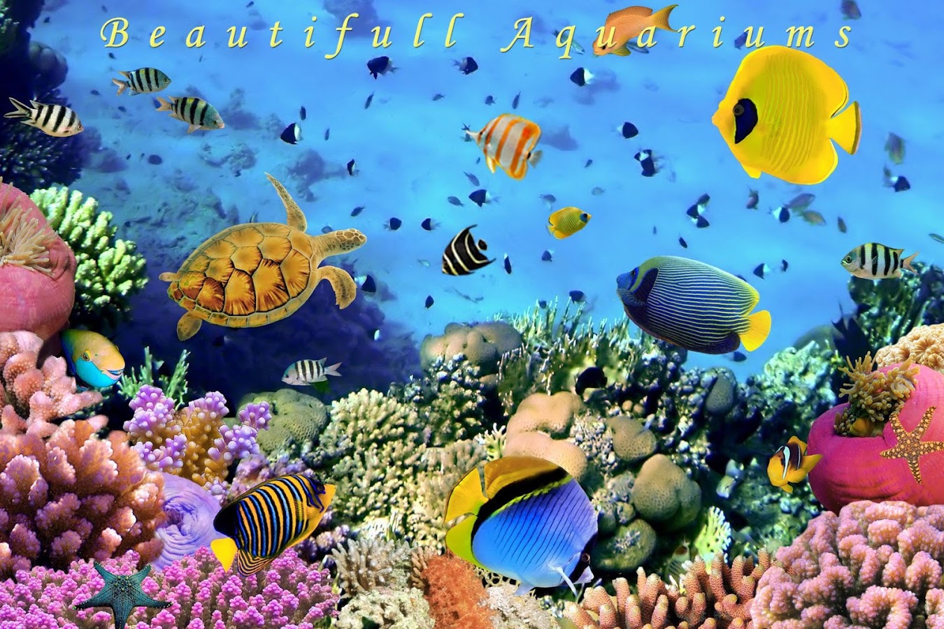 Aquarium Live Wallpaper Android Apps On Google Play