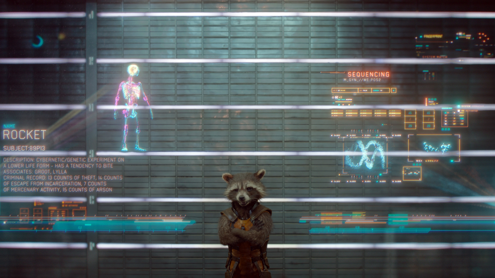 Rocket Raccoon Guardians Of The Galaxy Wallpaper HD