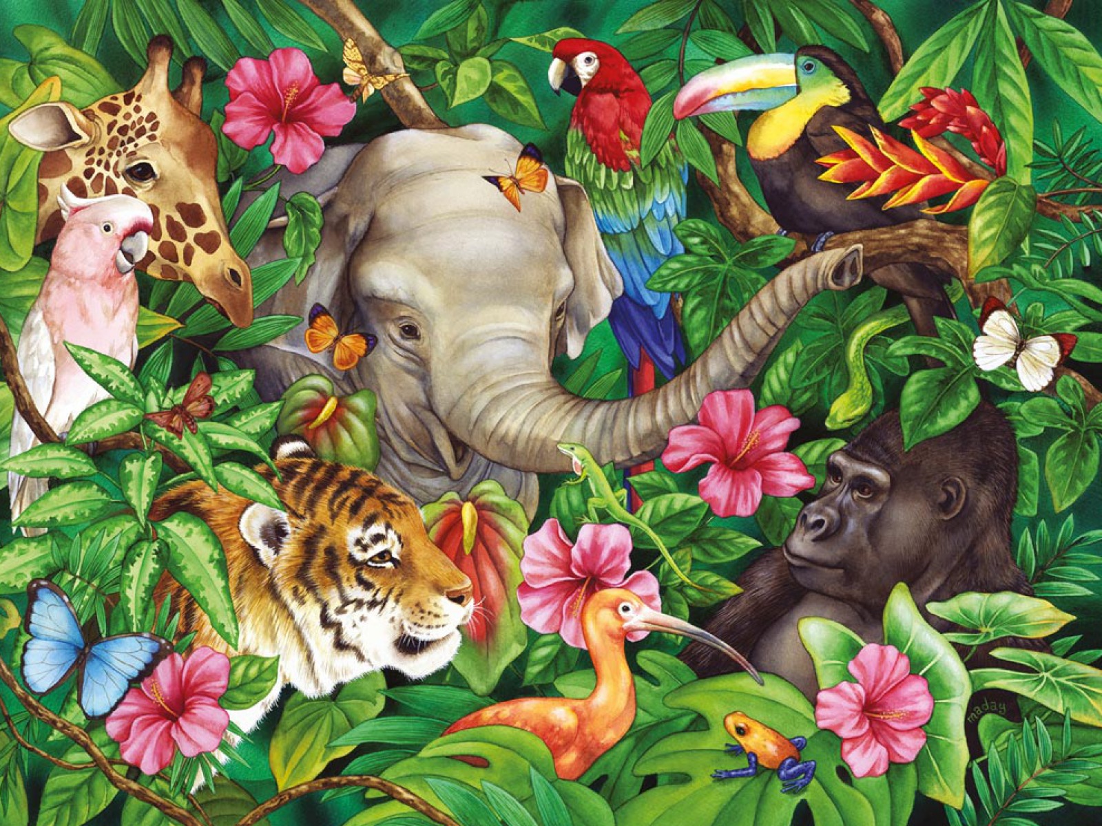 Jungle Animals Two wallpapers Jungle Animals Two stock photos