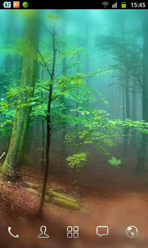 HD Wallpaper Forest Live Is Very Beautiful Real