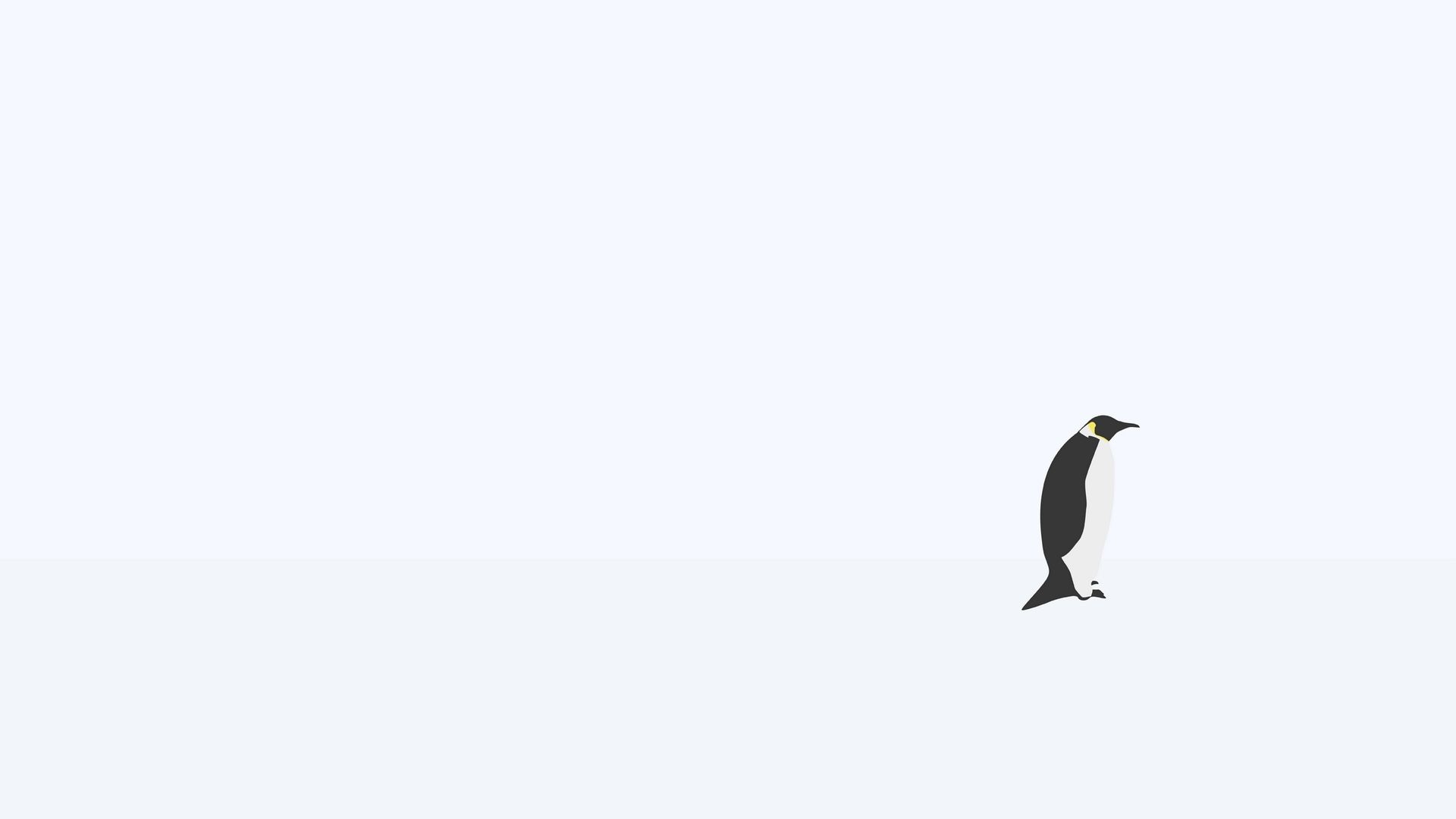 Minimalist Penguin Wallpapers   Top Free Minimalist Penguin