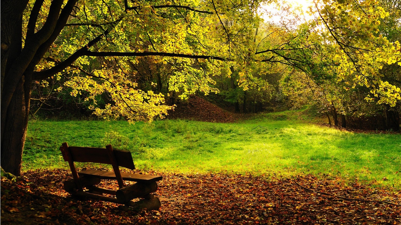 If you see more hd autumn wallpapers like these wallpapers then click