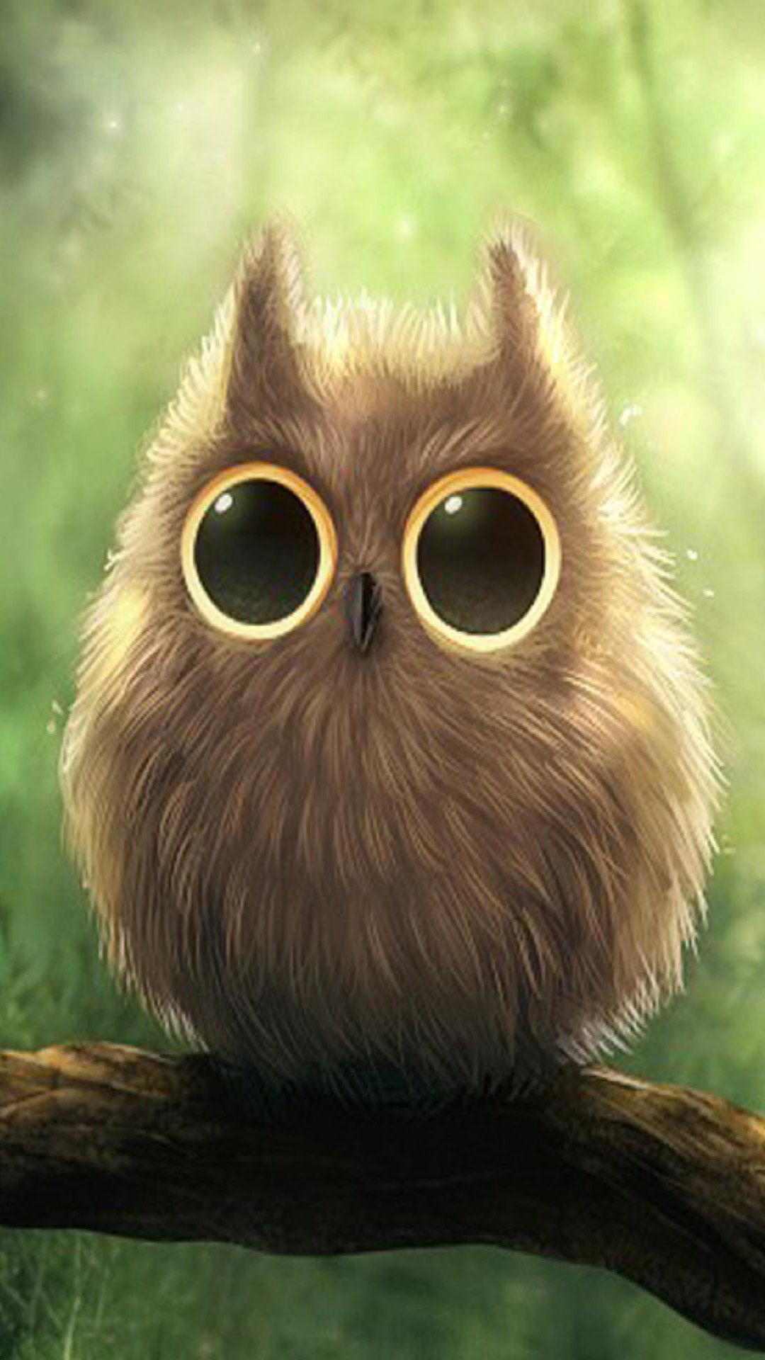 [73+] Cute Owl Wallpaper on WallpaperSafari