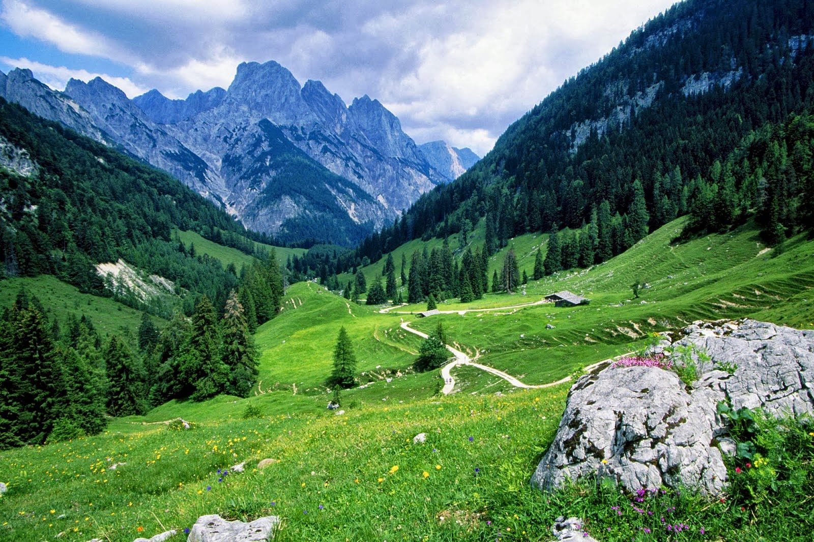 Lush green valley nestled in the Alps with a winding path, perfect for desktop wallpaper