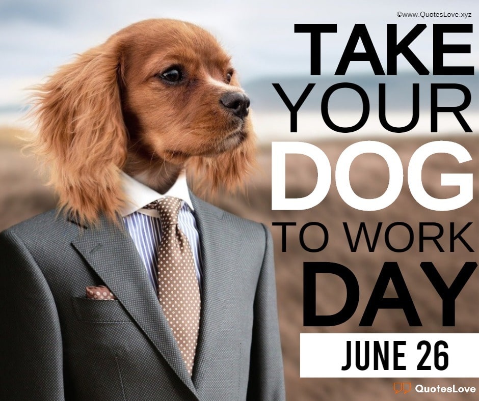 Free download 15 [Best] Take Your Dog To Work Day 2022 Quotes Sayings