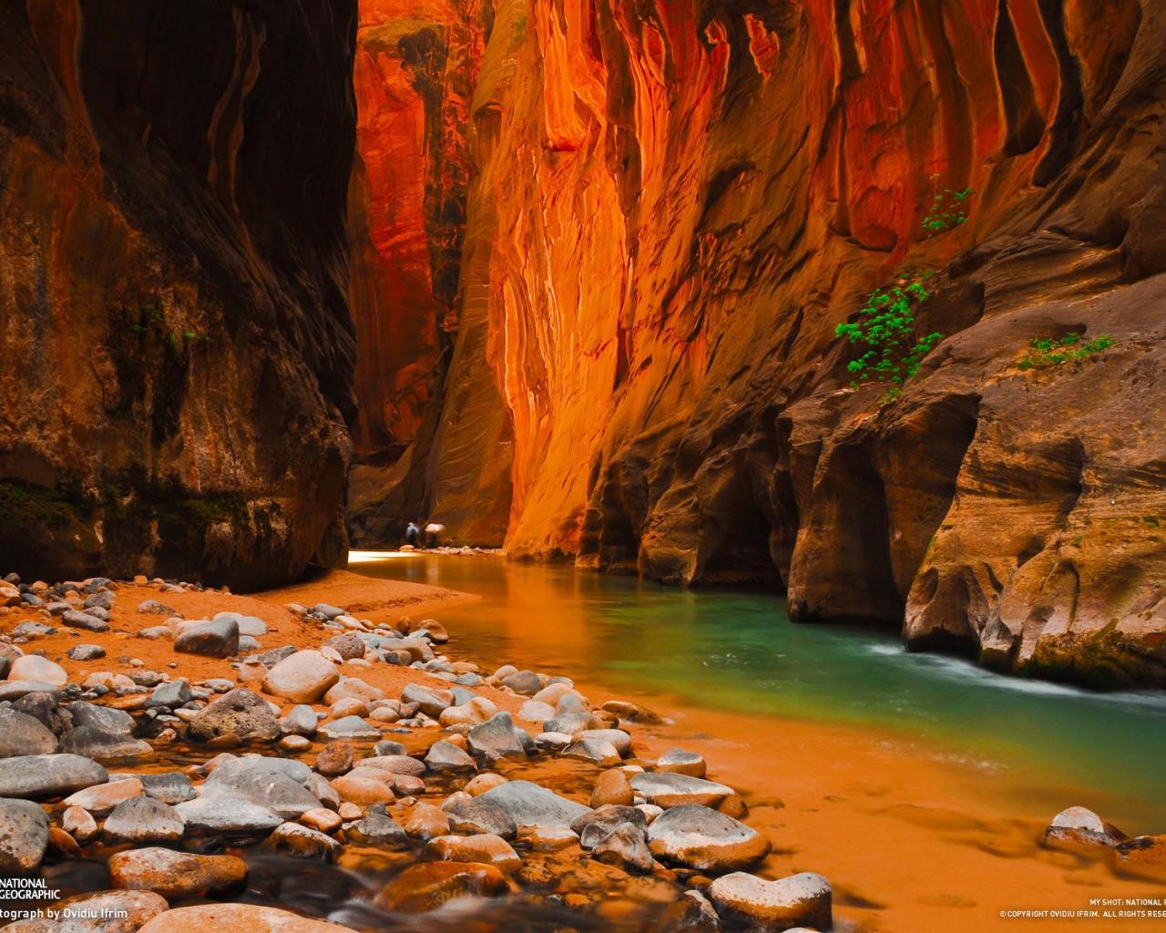 Zion National Park Utah High Quality And Resolution